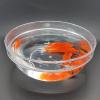SUMAG Appearing Fish Tank Magic Tricks Magician Stage Close up Illusions Gimmicks Mentalism Props Fish Appear in Plastic Bowl Magic view 1