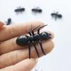 Sujosa 30pcs Fake Big Ants GiantAnts Ant Queen Plastic Fake Bugs Insects Halloween April Fools Christmas Party Gags Gifts Pranks for Adults view 2