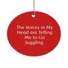 Beautiful Juggling , The Voices in My Head are Telling Me to Go Juggling., Unique Circle Ornament for Friends from view 1