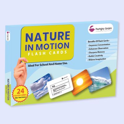 Hungry Brain Nature in Motion Flash Cards for Toddlers (24 Double-Sided Cards) | Real Picture Learning Flashcards for Kids Ages 14 | Early Learning, Preschool & Montessori Educational Toy