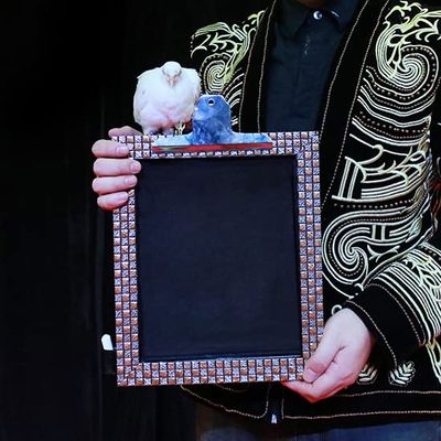 SUMAG Object from Black Board Magic Tricks Appearing Magic Magician Stage Party Gimmick Props Illusions Mentalism Magic Board