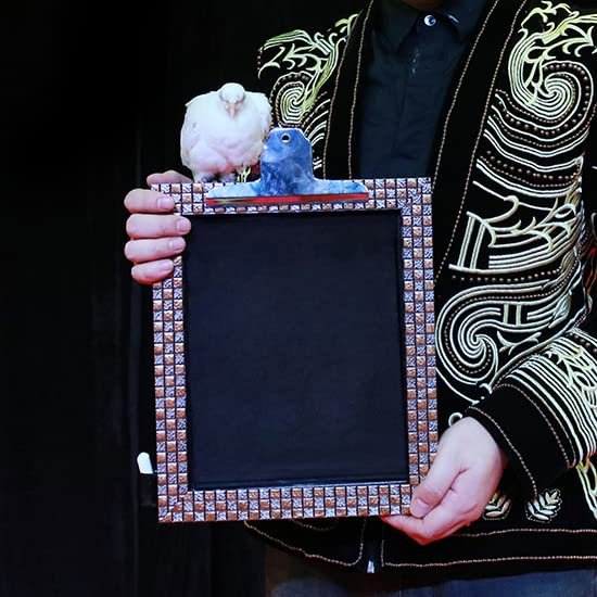 SUMAG Object from Black Board Magic Tricks Appearing Magic Magician Stage Party Gimmick Props Illusions Mentalism Magic Board