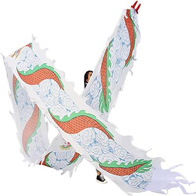 LORGL 3D Colorful Dragon Silk Flowy Spinning & Shaking Poi for Ribbon Toy for Children Kids Beginner