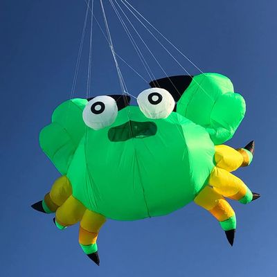 Green Crab Kite Pendant for Adults Soft Inflatable Large Animal Show Kites Line Laundry
