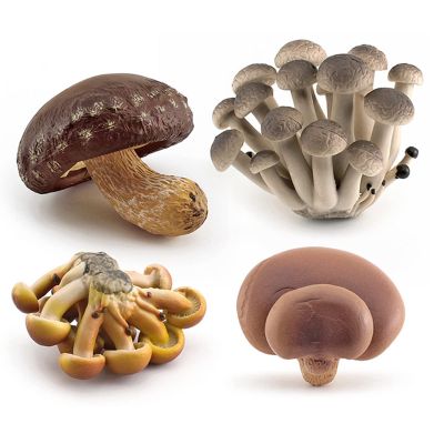 GUFOPONAS Realistic mini Life Cycle of Mushroom Figure Toy Set 4PCS Mushroom Decor for Diorama Projects Kids Birthday Gift Learning Toy