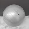 Fitfarer Fun Play Ball Exercise Ball view 3
