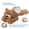 Doireum Weighted Stuffed Animals, Weighted Bear Stuffed Animal Toy Brown Bear Plush Throw Pillow Gifts for Boys Girls, 11.8 inch view 2