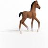 Schleich Horse Club Realistic Oldenburger Foal Baby Horse Figurine - Detailed Horse Toy, Durable for Education and Imaginative Play for Girls and Boys, Gift for Kids Ages 5+ view 4