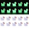 20 Pieces Tiny Ducks, Luminous Mini Resin Ducks, Glow in The Dark Miniature Ornament Ducks for DIY Garden Dollhouse Duck Accessories, Miniature Ducks Decoration for Xmas Birthday Party Favors view 1