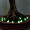 20 Pieces Tiny Ducks, Luminous Mini Resin Ducks, Glow in The Dark Miniature Ornament Ducks for DIY Garden Dollhouse Duck Accessories, Miniature Ducks Decoration for Xmas Birthday Party Favors view 3