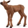 Schleich Wild Life Mother Moose and Calf Playset - North American Forest Animal Toys Playset with Realistic Natural Mother Moose and Baby Calf, Gift for Toddlers, Kids, Boys, and Girls Ages 3 and Up view 4