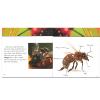 Insects and Bugs Party Supplies Set - Bundle with 12 Bugs in the Backyard Books Party Favors | Bugs Party Favors, Insect Party Supplies for Kids, Boys, Toddler view 2