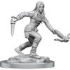 D&D Nolzur's Marvelous Miniatures: Half-Elf Rogue Female view 1