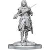 D&D Nolzur's Marvelous Miniatures: Half-Elf Rogue Female view 2