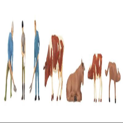 FALLER 151673 HO Scale 3 Farmers and 4 Cows