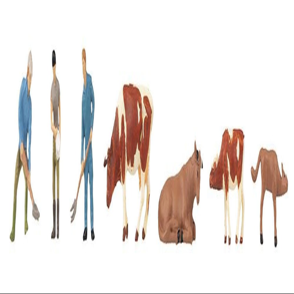 FALLER 151673 HO Scale 3 Farmers and 4 Cows