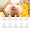 10PCS Nipple for Goats, Small Animal Milk Drink Nipple Soft Rubber Pacifier Replacement Nipple for Nursing Lambs and Goat Kids view 4