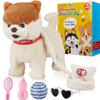 Marsjoy Musical Walking & Dancing Dog Toy with Leash - Interactive Plush Stuffed Animal for Boys & Girls view 1