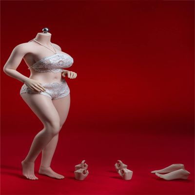 1/6 Scale Female Body,12inch Super Flexible Large Bust Plus Size Female Seamless Action Figure Body Collection (S38A Pale Skin No Head)