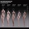 1/6 Scale Female Body,12inch Super Flexible Medium Bust Thin and Small Type Female Seamless Action Figure Body Collection (S27B Suntan Skin 10.6inch Tall) view 3