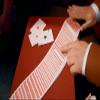 Easy Aces by Martin Braessas view 4