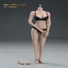 1/6 Scale Female Body,12inch Female Large Bust Super Flexible Seamless Action Figure Body with Detachable Feet Collection (S12D Suntan Skin) view 2