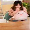 CASAGOOD Soft Flat Pig Plush Hugging Pillow Cute Pink Pig Stuffed Animal Piggy Plushies Toys Kids Piglet Anime Cushion for Birthday, Valentine's Day, Christmas...16.5 Inch view 3