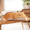 CASAGOOD Soft Flat Lion Plush Hugging Pillow Cute Brown Lion Stuffed Animal Plushies Toys Kids Anime Cushion for Birthday, Valentine's Day, Christmas...16.5 Inch view 4