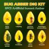 Amber Dig Kit - Insects in Resin, 8 Insects Specimens Excavation Kit, Gemstone Bugs for Kids, Fossil Bug Toys Dig Kits for Bugs Collection, Insect Toys for Boys Girls 6 and up Year Old Birthday Gifts view 2