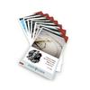 Ethos Logos Values & Virtues Lesson Cards - Character Education for Homeschool & Classical School - Enhance Moral Growth & Personal Development - 18 Flashcards for Empowering Lifelong Virtues view 1