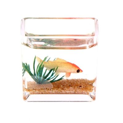1: 12 Miniature Glass Fish Tank Bowl, Miniature Aquarium Ornament, Mini Fish Tank Desktop Landscape Ornaments(Square)