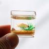 1: 12 Miniature Glass Fish Tank Bowl, Miniature Aquarium Ornament, Mini Fish Tank Desktop Landscape Ornaments(Square) view 2