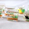 1: 12 Miniature Glass Fish Tank Bowl, Miniature Aquarium Ornament, Mini Fish Tank Desktop Landscape Ornaments(Square) view 4