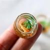1: 12 Miniature Glass Fish Tank Bowl, Miniature Aquarium Ornament, Mini Fish Tank Desktop Landscape Ornaments(Round) view 2
