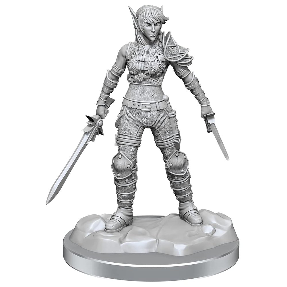 WizKids D&D Nolzur's Marvelous Miniatures: Elf Rogue & Half-Elf Rogue Protg
