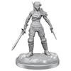 WizKids D&D Nolzur's Marvelous Miniatures: Elf Rogue & Half-Elf Rogue Protg view 1