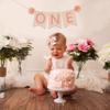 Baby First Birthday Felt Banner - Children's First Year and Baby Bedroom Decoration, High Chair and Birthday Party Decoration, Small Name Felt Flag Square Banner with Pompoms view 3