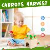 Adena Montessori 6 in 1 Play Kit Toy- 3 Nesting & Stacking Boxes, Object Permanence Drop Game, Coin Box, Carrot Harvest,Tissue Box,Sticks Matching Game for 6-12 Months 1 Year Old Toddlers 2 Year view 3