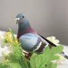 Artificial Simulation Foam Birds Sparrow Ornaments Removable Feather Birds view 2