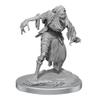 Dungeons & Dragons Nolzur's Marvelous Unpainted Miniatures: Nosferatu view 1