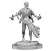 Dungeons & Dragons Nolzur's Marvelous Unpainted Miniatures: Nosferatu view 3
