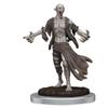 Dungeons & Dragons Nolzur's Marvelous Unpainted Miniatures: Nosferatu view 4