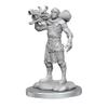 WizKids D&D Nolzur's Marvelous Miniatures: Human Artificer & Human Apprentice view 1