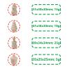 10 Pack Wooden Acorns for Christmas - Not Finished Wooden People - DIY Wood Education Crafts view 3