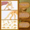 Sratte 180 Pcs Dinosaur Fossil Skeletons Assorted Plastic Skeleton Bones Toy 2.5 Inch Figures Dinosaur Bones for Sand Dig Science Play Halloween Party Supplies Favors, 12 Styles view 3