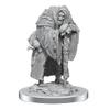 Dungeons & Dragons: Nolzur's Marvelous Minis: Wereravens view 3