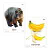 Super Duper Publications | Articulation Photos B Fun Deck Flash Cards | Speech Therapy - Articulation | Educational Learning Resource for Children view 4