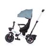 Chipolino 4-in-1 Pegas Adjustable Reversible Seat Push Bar Roof Tricycle, Colour: Green view 3