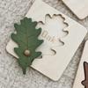 Kisangel Montessori Leaf Puzzle Set, 4Pcs Wooden Tree Identification Toys with Knobs for Toddler Cognitive Learning, Nature Exploration, and Preschool Educational Activities, Assorted Colors, 3.74 X 3 view 4