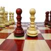 4.3" St. Petersburg Series Luxury Artisan Chess Pieces in Bud Rosewood (Padauk) - Weighted Chess Pieces Set Extra Queens Taj Chess Store view 4